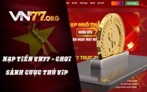 Nạp Tiền VN77 - Chơi Sảnh Cược Thủ ViP